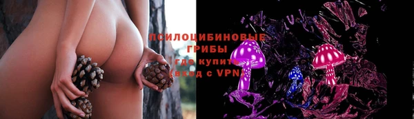 крисы Белоозёрский
